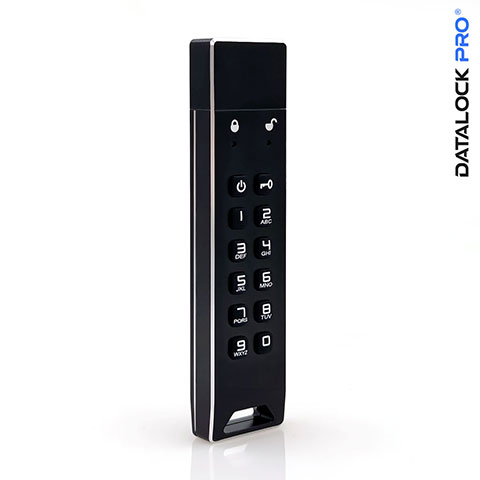 Защищённый USB флэш-накопитель DATALOCK PRO 3