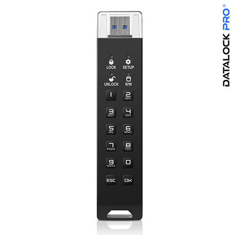 Защищенный носитель данных DATALOCK PRO 4